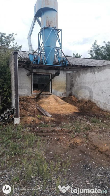 RECO Hale predestinate prelucrarea lemnului, loc. Auseu, sat 