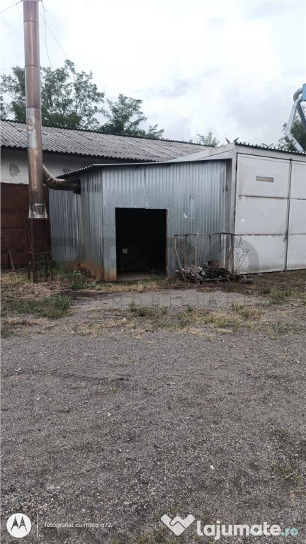 RECO Hale predestinate prelucrarea lemnului, loc. Auseu, sat 