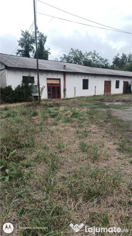 RECO Hale predestinate prelucrarea lemnului, loc. Auseu, sat 