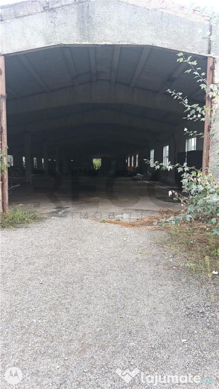 RECO Hale predestinate prelucrarea lemnului, loc. Auseu, sat 