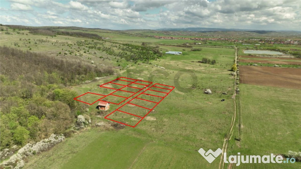 RECO , teren intravilan, Ineu,Bihor 