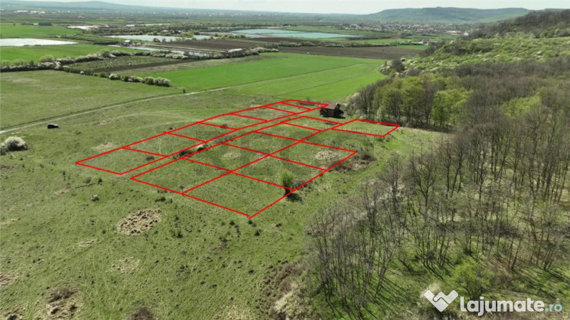 RECO , teren intravilan, Ineu,Bihor 