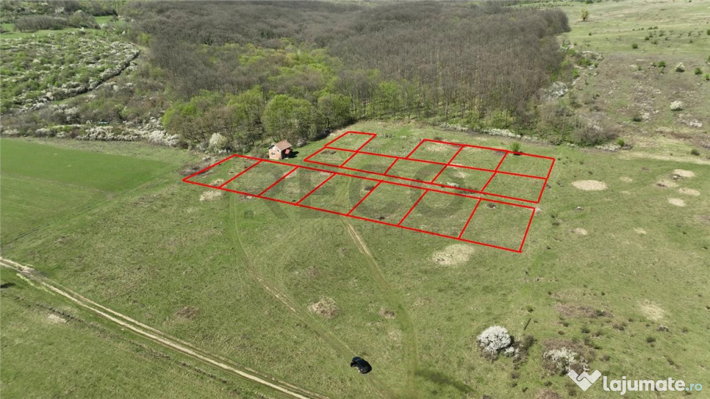 RECO , teren intravilan, Ineu,Bihor 