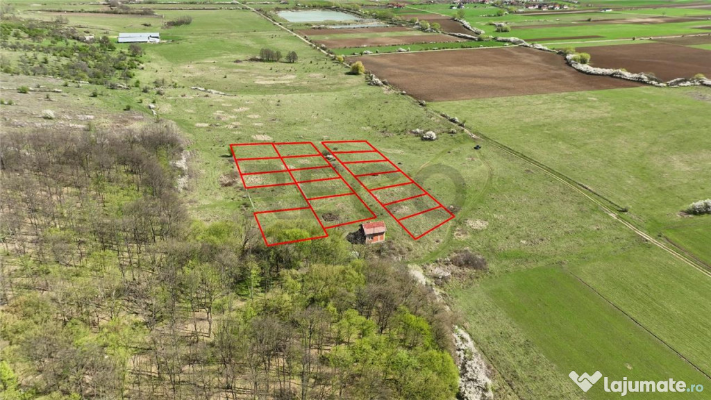 RECO , teren intravilan, Ineu,Bihor 