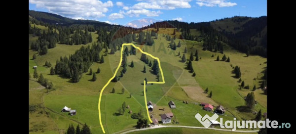 Teren de 14318m.p. în Paltinis, la 100m de strada Princi...