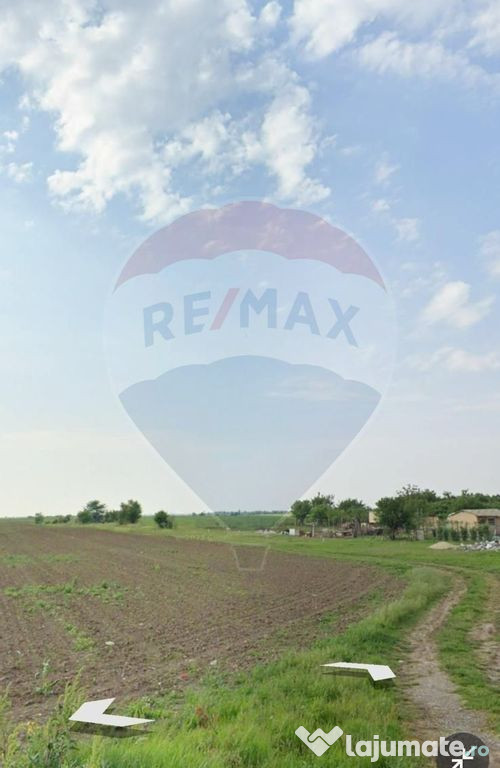 Teren Draganeasca-Ulmi / DJ 404 Jud Giurgiu