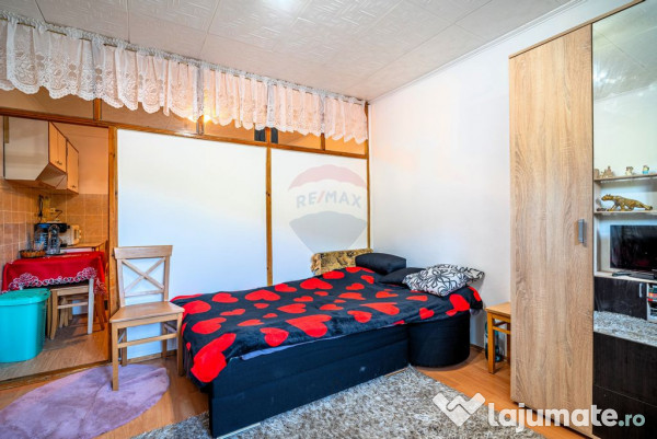 Garsoniera / Camera de camin de vanzare in Sinaia 