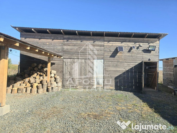 Fermă cu casa, zero comision, in Horia 