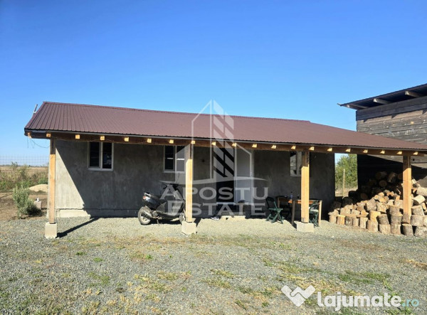 Fermă cu casa, zero comision, in Horia 