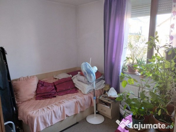 Vila ta de vis te așteaptă! 