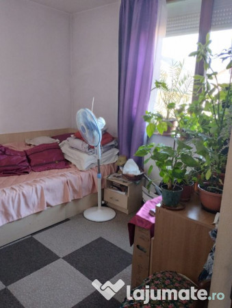 Vila ta de vis te așteaptă! 