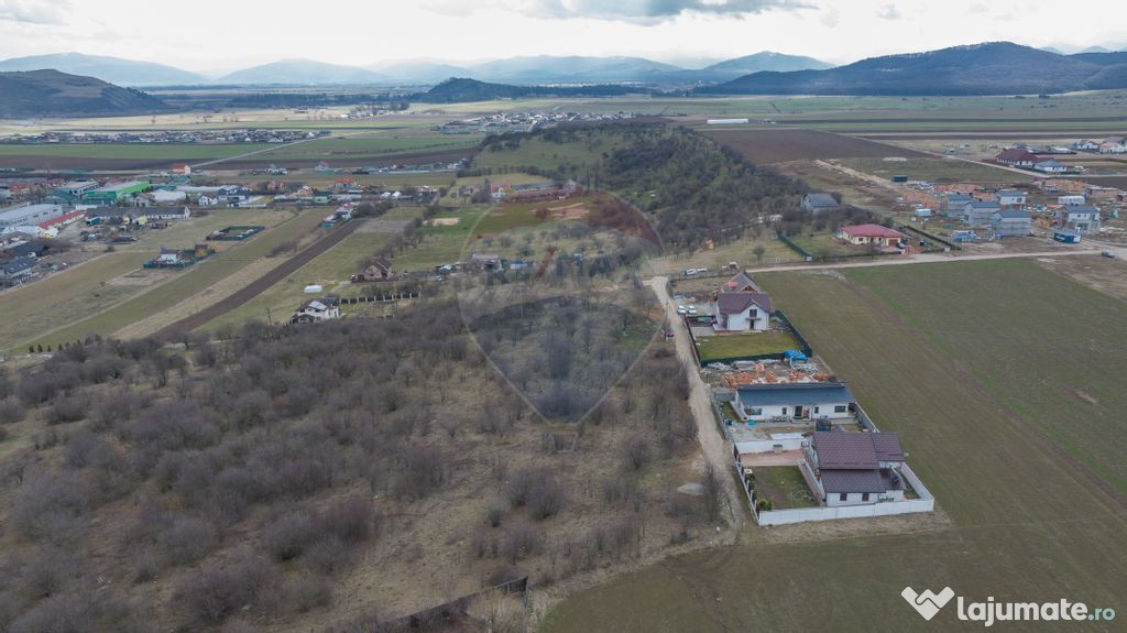 Comision 0 %! Teren intravilan de vânzare, 3,741 mp, Bod 