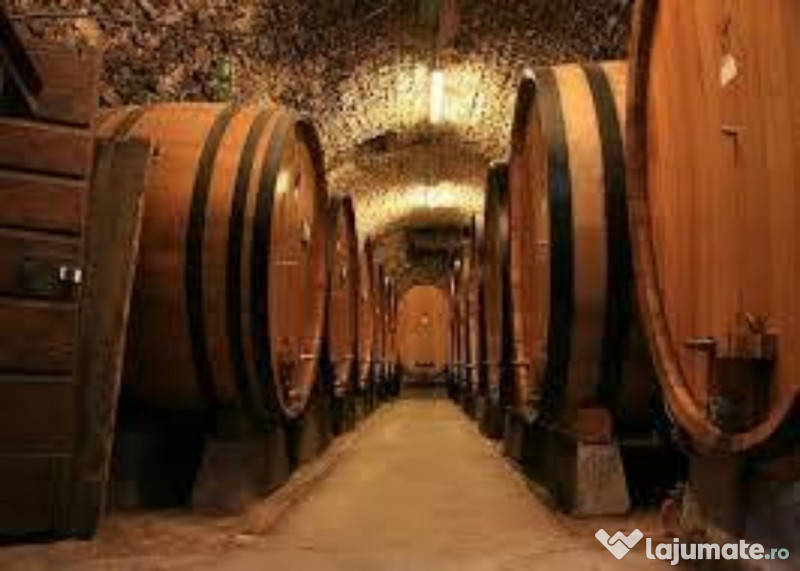 Palinca de Zalău de Prune 100% ECOLOGICĂ 