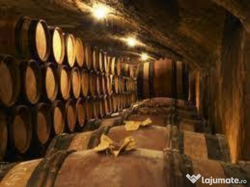 Palinca de Zalău de Prune 100% ECOLOGICĂ 