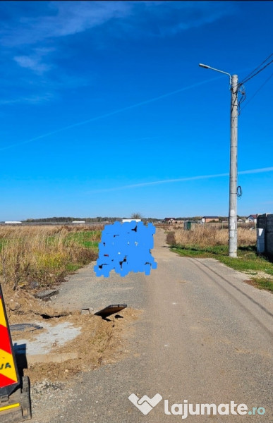 Teren Comuna 1 Decembrie str. Tuberozelor 733mp