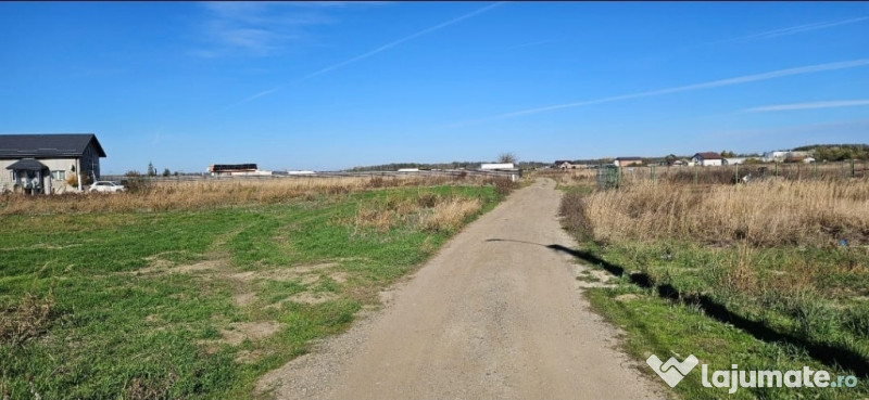 Teren Comuna 1 Decembrie str. Tuberozelor 733mp
