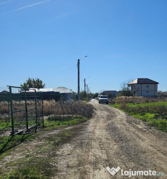 Teren Comuna 1 Decembrie str. Tuberozelor 733mp