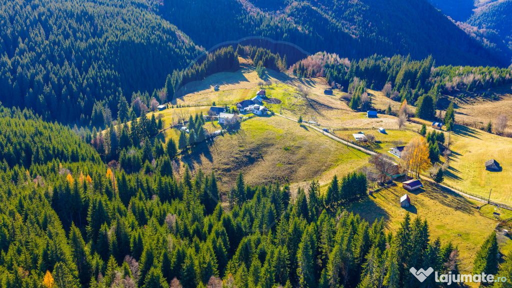 COMISION 0% Teren 13,800mp Fundatica / Intravilan 