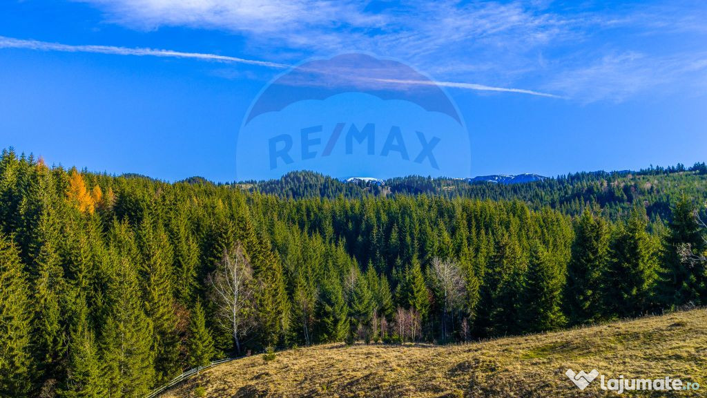 COMISION 0% Teren 13,800mp Fundatica / Intravilan 