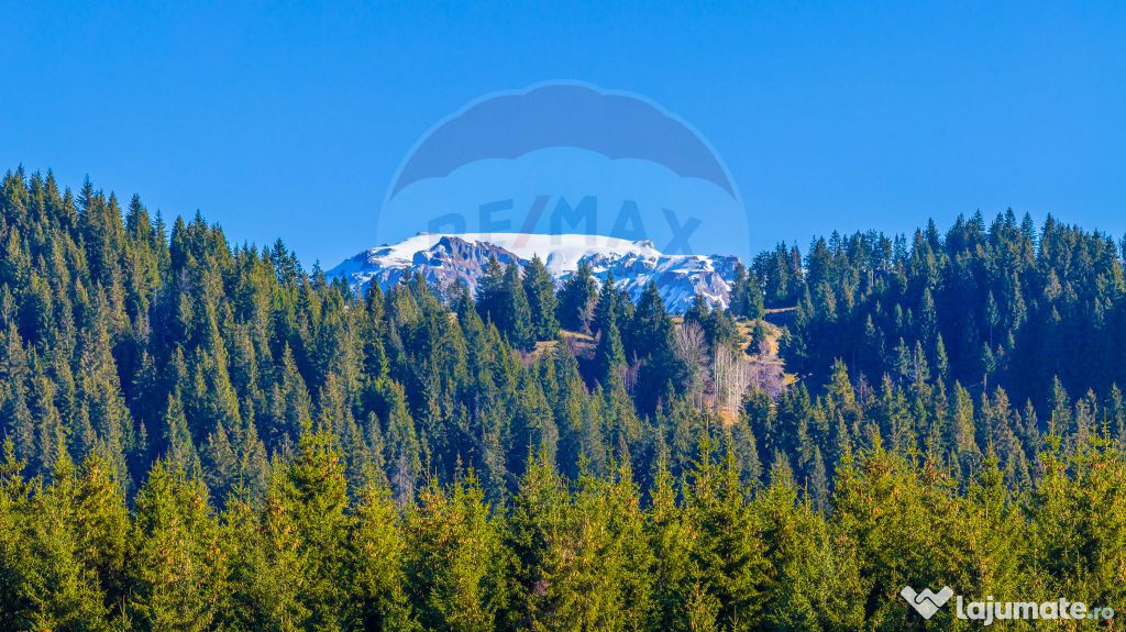 COMISION 0% Teren 13,800mp Fundatica / Intravilan 