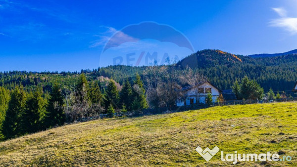 COMISION 0% Teren 13,800mp Fundatica / Intravilan 