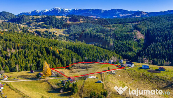 COMISION 0% Teren 13,800mp Fundatica / Intravilan 