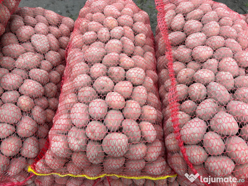 Cartofi Sāmântā Rosu 