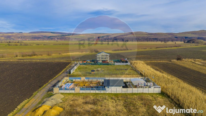 Teren intravilan 800mp Bod / Strada Iasomiei/ zona agreme...