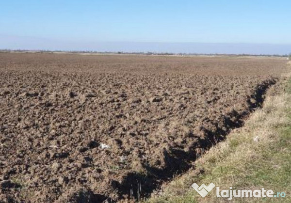 Teren extravilan- Com. Siria, jud. Arad