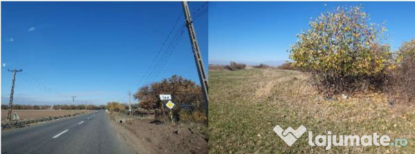 Teren extravilan- Com. Siria, jud. Arad