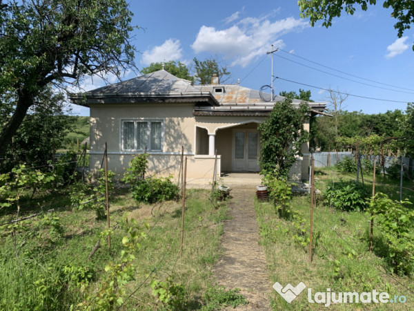 Casă + teren 2600 mp- Com. Negri- scop rezidențial sau ind 