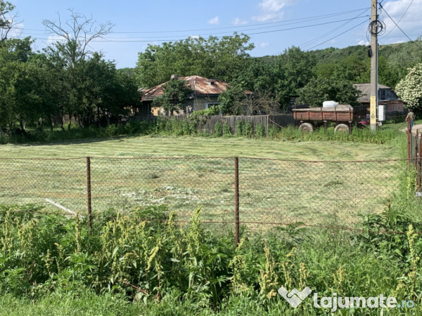 Casă + teren 2600 mp- Com. Negri- scop rezidențial sau ind 