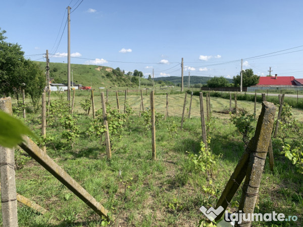 Casă + teren 2600 mp- Com. Negri- scop rezidențial sau ind 