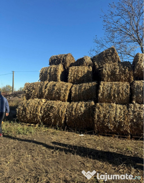 Baloți - diferite tipuri 