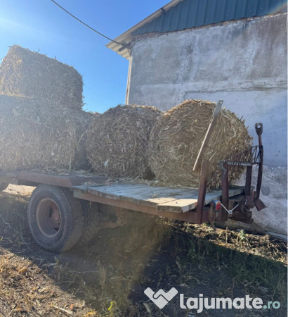 Baloți - diferite tipuri 