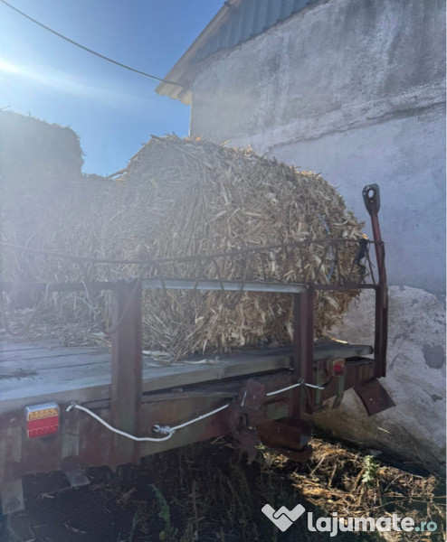 Baloți - diferite tipuri 