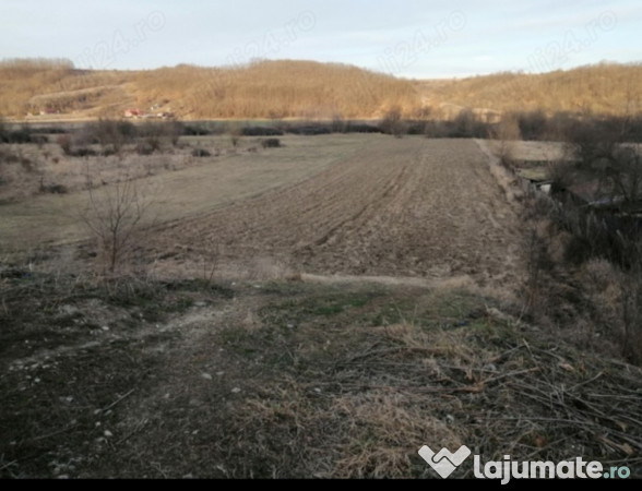 Teren intravilan/extravilan *7000mp*30km Craiova.