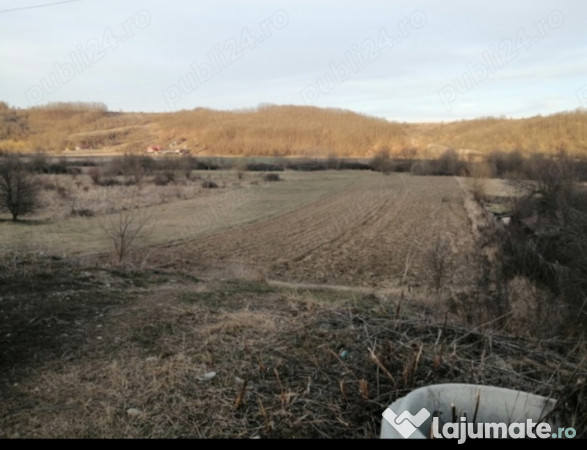 Teren intravilan/extravilan *7000mp*30km Craiova. 