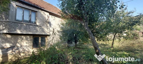 Casă individuala cu teren generos