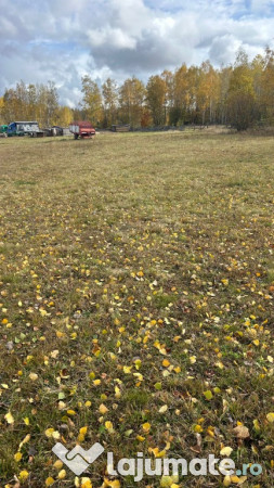 Teren intravilan 3.953 mp – Râșca, Cluj