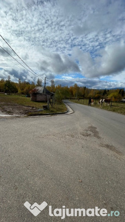 Teren intravilan 3.953 mp – Râșca, Cluj