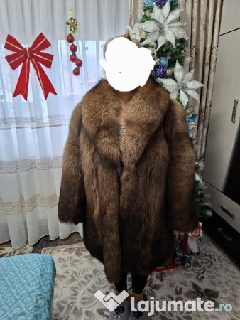 Haine dama vulpe polara si nutre