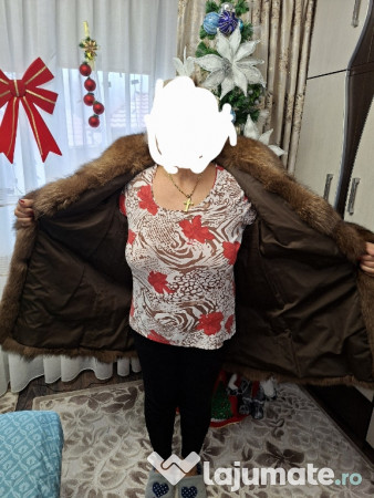 Haine dama vulpe polara si nutre