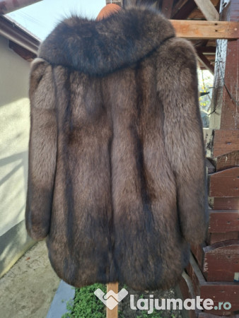 Haine dama vulpe polara si nutre