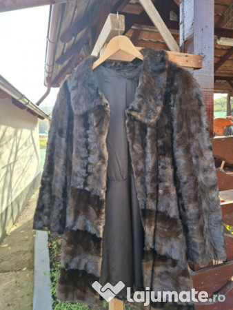 Haine dama vulpe polara si nutre