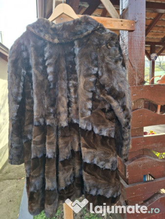 Haine dama vulpe polara si nutre