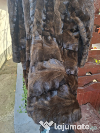 Haine dama vulpe polara si nutre