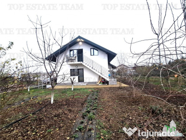 For Sale Casa Vlasiei/Livada si curte generoasa 