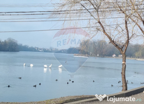 Teren 625mp Mogosoaia / Strada Livezilor