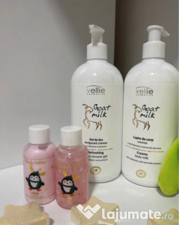 Cos cu produse cosmetice si un plus 